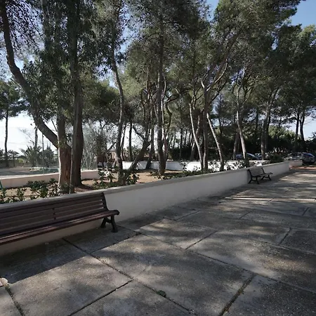 Nadia Village *