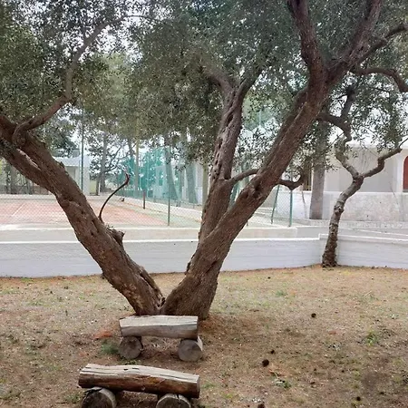 Nadia Village *