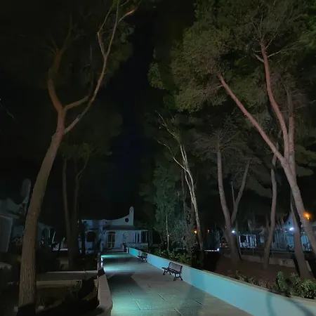 Nadia Village *