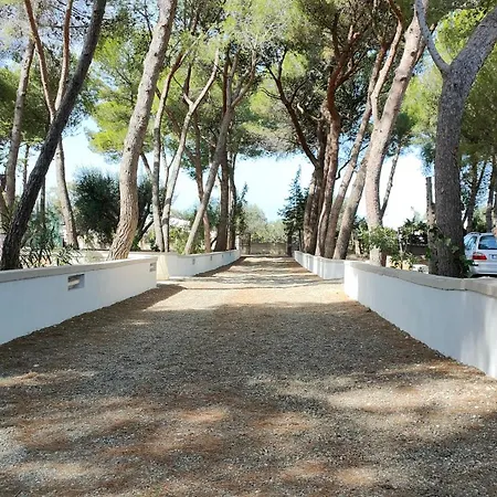 Nadia Village